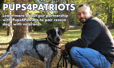 Pups4Patriots