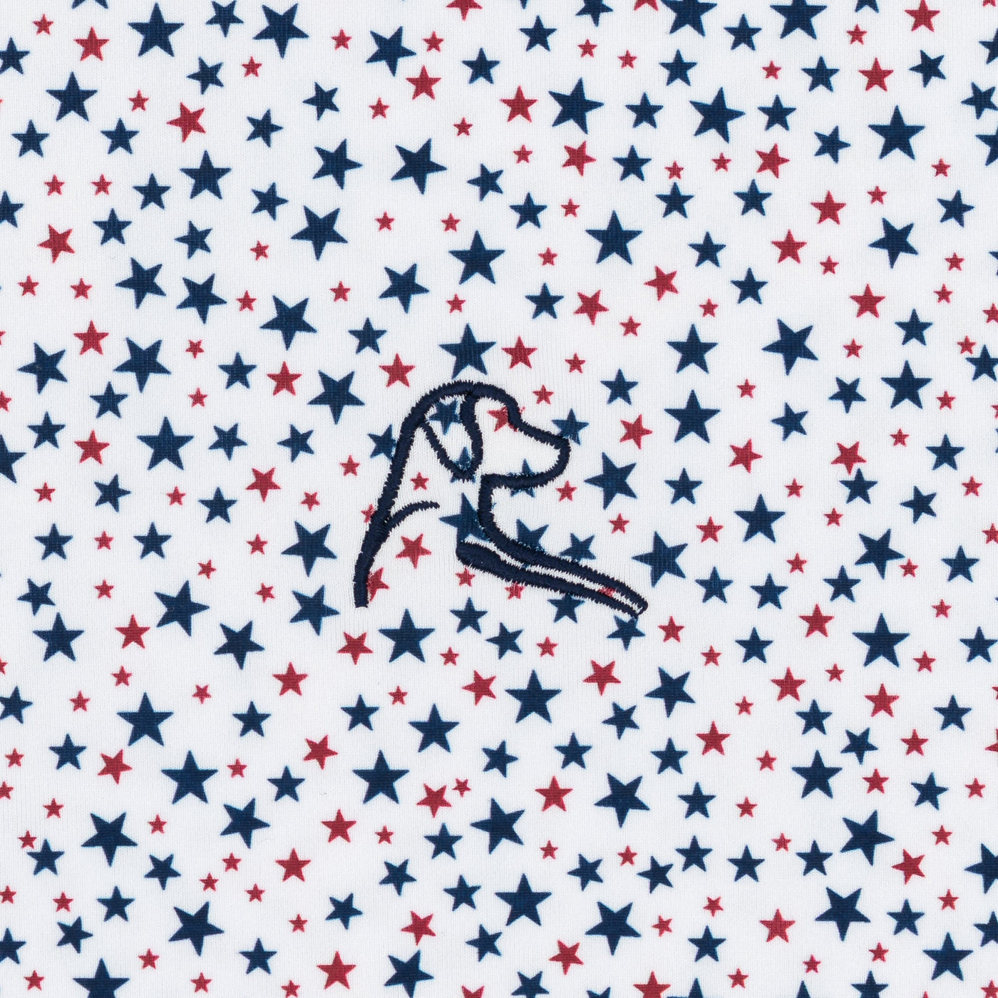 The All Stars | Performance Polo | The All Stars - White/Fleet Navy