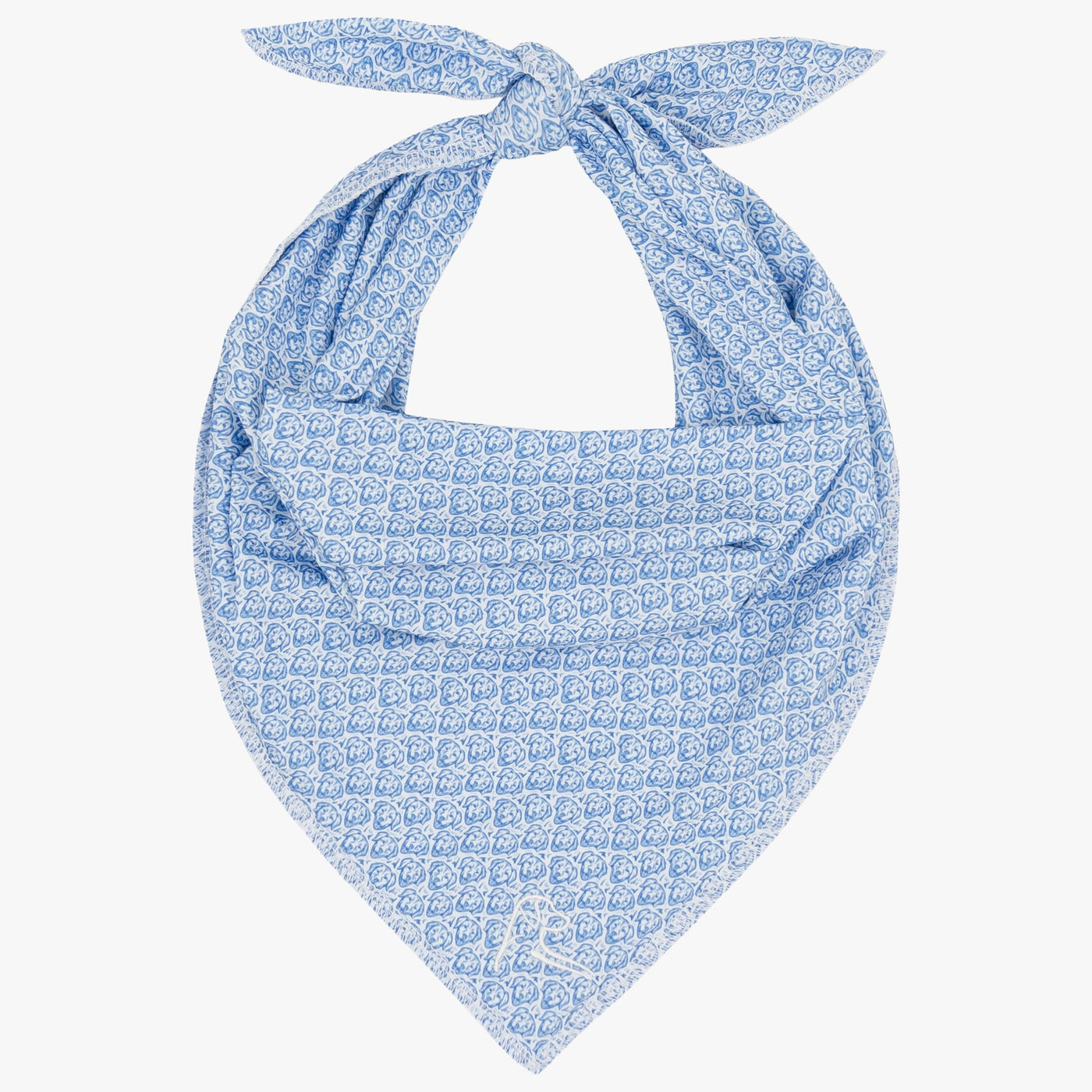 The Biscuit | Performance Bandana | The Biscuit - White/Caicos Blue