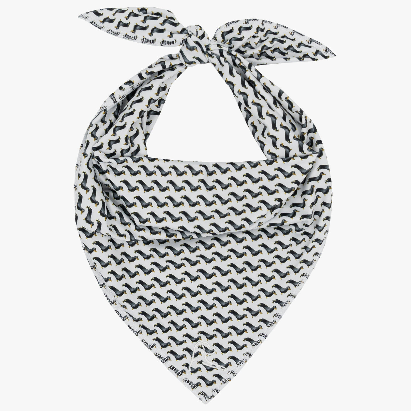 The Dachshund | Performance Bandana | The Dachshund - White/Black