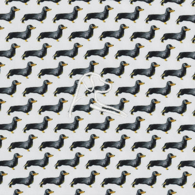 The Dachshund | Performance Polo | The Dachshund - White/Black