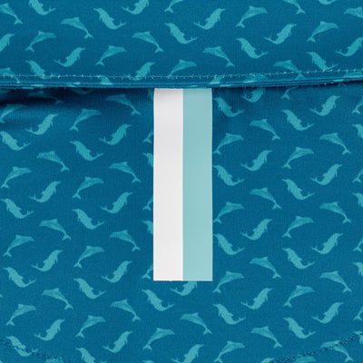 The Dolphin