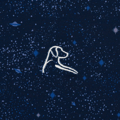 The Galactic | Performance Polo | The Galactic - Fleet Navy/Short Stop Blue