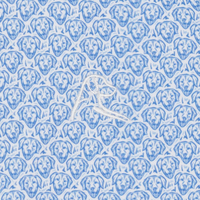 The Lil' Biscuit | Performance Polo | The Biscuit - White/Caicos Blue