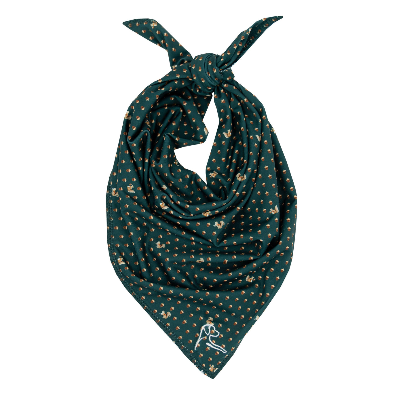 The Nut Bandana
