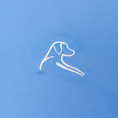 The Blue Ribbon